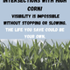 Image for article titled Corn Is A Menace On Rural Roadways